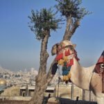 أميركا تفرض عقوبات جديدة على حزب الله