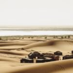الدرك يحبط نقل أسماك غير صالحة