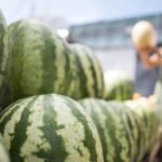 ‬تنصيب بلكوش مندوبا وزاريا لحقوق الإنسان.. وهبي يطالب بدعم المؤسسة
