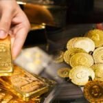 تجار “الدلاح” يبدؤون شراء المحصول