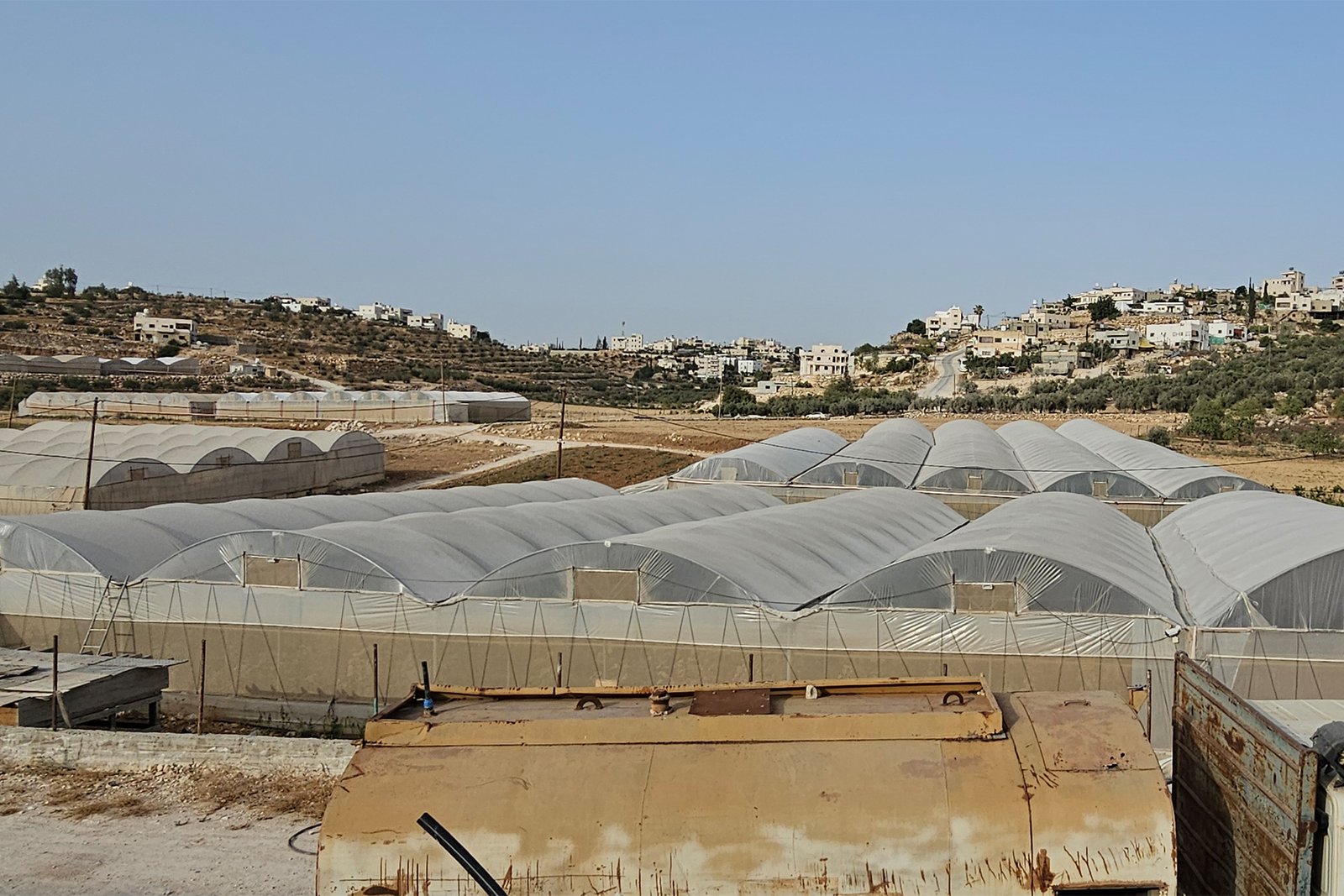 كيف عوّضت الأرض فلسطينيا بعد فقدان عمله خلال الحرب؟