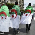 حجز طن و 700 كيلوغرام من مخدر الشيرا داخل سيارة ضواحي الصويرة