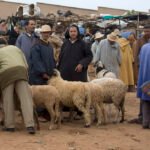 تورك يحذر من تصاعد الأعمال العدائية في جنوب السودان