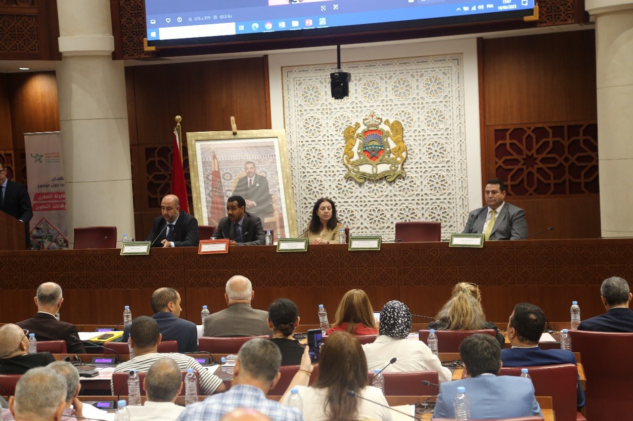 خبراء يدقون ناقوس الخطر: 75% من المقاولات الصغرى بالمغرب لا تصمد لأكثر من 3 سنوات - العمق المغربي