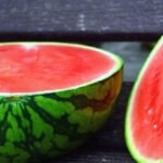 الدبلوماسية الإنسانية.. كيف تتحول الحلول إلى أدوات إطالة لأزمة غزة؟