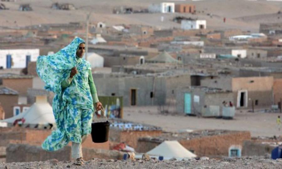 الجزائر والبوليساريو.. من ورقة ضغط إلى ورطة استراتيجية وعبء مالي وسياسي - العمق المغربي