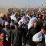الجزائر والبوليساريو.. من ورقة ضغط إلى ورطة استراتيجية وعبء مالي وسياسي