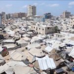 لماذا نرى صورا لأطفال في غزة عندهم “كرش” رغم المجاعة؟