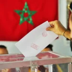 بينها حفل عمر خيرت ومسابقة سيد درويش.. تفاصيل 100 فعالية بـ«اليوم المصري للموسيقى»