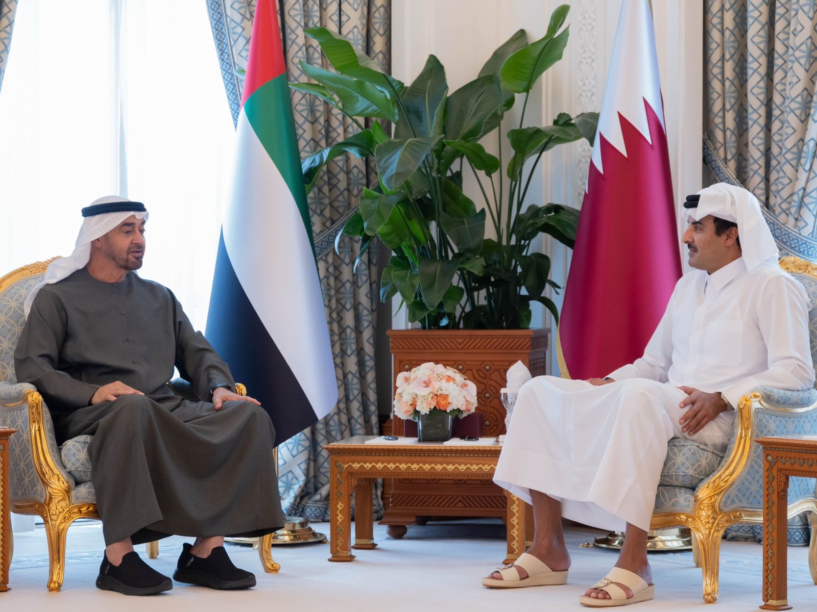 رئيس الإمارات يلتقي أمير قطر ويؤكد تضامن أبو ظبي مع الدوحة