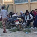 علماء يتحدثون عن أغرب قصص التكاثر في عالم النمل