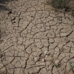 ما أهمية الشراكة بين سوريا وأميركا لمحاربة تنظيم الدولة؟