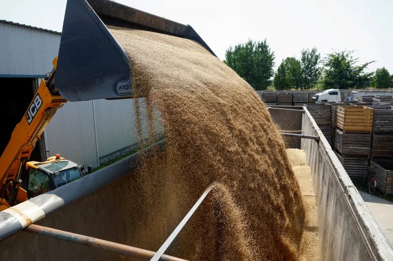 FILE PHOTO: An employee uses a wheel loader to load wheat grains from a storage facility to a truck at a compound of a farm, amid Russia's attack on Ukraine, in Zhytomyr Region, Ukraine August 7, 2026. REUTERS/Valentyn Ogirenko/File Photo
