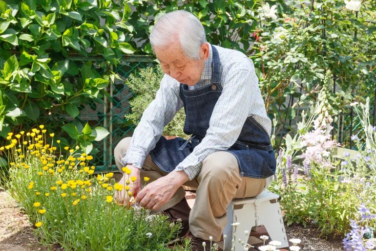 Seniors watering their gardens (gardening) adobe stock