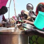 مبلغ لا يصدق.. لماذا يدفع الجزائريون 7500 دولار لاقتناء “طائر الحسون”؟ | علوم