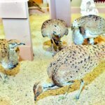 مناورة الجبهات السبع.. إسرائيل تختبر جيشها لسيناريو الحرب الشاملة | سياسة