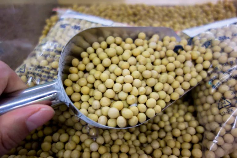 TIANJIN, CHINA - 2018/04/05: Soybean products in a Chinese supermarket. On April 4th, the US government issued a Customs duty list, which would impose a 25% tariff on the 1333 products exported to China with a total value of 50 billion US Dollar. On the second day, with the approval of the State Council of China, the State Council Tariff committee decided to fight back with a 25% tariff on 14 categories of 106 commodities native from the United States, including soybeans, automobiles and chemicals,. (Photo by Zhang Peng/LightRocket via Getty Images)