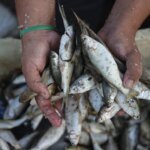فاتورة الاعتراف بتايوان: عقوبات صينية على وزيرين من باراغواي وبليز | أخبار