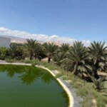 زلزال سياسي في فرنسا.. هل يطيح الماضي السري ببارديلا ومارين لوبان؟ | سياسة